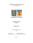 Tesis de Titulo. Indice