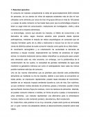 Insectos comestibles