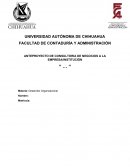 ANTEPROYECTO DE CONSULTORIA DE NEGOCIOS A LA EMPRESA/INSTITUCIÓN