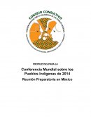 PROPUESTAS EN MATERIA INDIGENA A LA CONFERENCIA MUNDIAL DE ONU 2014