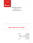 INFORME TECNICO CAROZZI