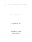 LLAMAMOS LOCOS A LOS QUE VEN EL MUNDO COMO REALMENTE ES