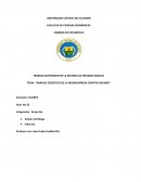 Análisis crediticio de la microempresa Conitos Aguirre