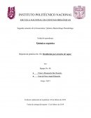 Reporte de práctica No. 02: Destilación por arrastre de vapor