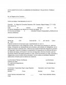 Acta constitutiva de la comisión de seguridad y salud en el trabajo