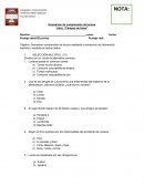 Evaluación de comprensión de lectura Libro: “Campos de fresa”