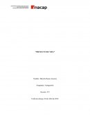 Proyecto de Vida. Autogestión