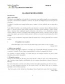 La lealtad del lider