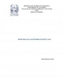 DERECHO ROMANO IMPORTANCIA DE LAS REFORMAS DE SERVIO TULIO