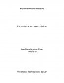 Evidencias de Reacciones quimicas