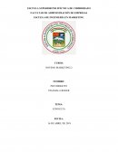 LAS NEUROCIENCIAS Y SU APLICACIÓN EN EL APRENDIZAJE DE LAS MATEMATICAS