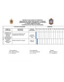 LA FUERZA ARMADA NACIONAL COORDINACIÓN DE PRÁCTICA PROFESIONAL