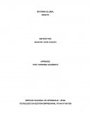 ENTORNO GLOBAL DENTRO DE UNA EMPRESA