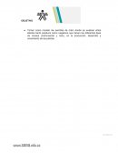 EXPERIMENTO plantas