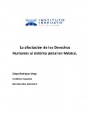 La afectación de los Derechos Humanos al sistema penal en México
