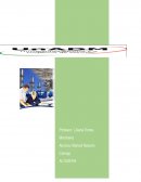 Actividad 2: Propuesta de Mejora elaboración de Chocolates
