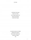 Administración de Empresas Plan Estratégico Organizacional