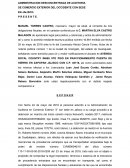 Administrador de la administracion de auditoria de comercio exterior