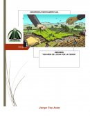 TENDENCIA DEL DESARROLLO AGRARIO EN EL SIGLO XIX Y SURGIMIENTO DE LA PROPIEDAD CAPITALISTA DE LA TIERRA