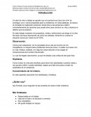 Plan de vida y trabajo