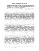 RESOLUCIÓN DEL CASO GOOGLE