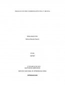 PARALELO ENTRE CORDINACION FINA Y GRUESA