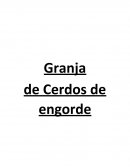 Granja de Cerdos de engorde