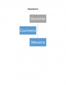 Organigrama gerente -cocinero-mesera