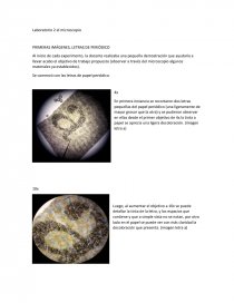 Laboratorio 2 el microscopio PRIMERAS IMÁGENES, LETRAS DE PERIÓDICO. Página 1