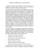 CADENA DE SUMINISTRO Y SU ESTRUCTURA