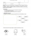 EVALUACIÓN DE HISTORIA N°1 “Mi identidad y el tiempo”