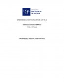 TAREA VIRTUAL 2 - SOCIEDAD ESTADO Y EMPRESA