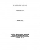 SOY CIUDADANO, SOY AREANDINO