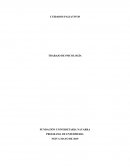 TRABAJO CUIDADOS PALIATIVOS