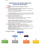 ANTROPOLOGÍA: DEFINICIÓN, ORIGEN. SUB DISCIPLINAS, IMPORTANCIA