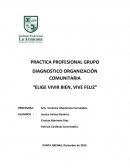 DIAGNOSTICO ORGANIZACIÓN COMUNITARIA “ELIGE VIVIR BIEN, VIVE FELIZ”
