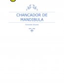 CHANCADOR DE MANDIBULA