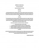 COMPRAS DE LAS AMAS DE CASA