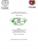 Calidad de la persona