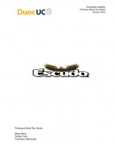 Plan de Marketing Escudo