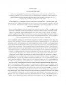 Resumen del abrigo negro