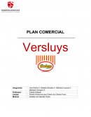 Gestión de Clientes Pyme. Versluys