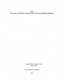 Entrevista y Reflexión acerca del PEI de la Universidad de la Sabana