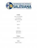 CONTABILIDAD Y AUDITORIA. FASES DE AUDITORIA