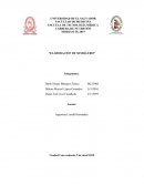 Semilleros: Un análisis de sus tipos, usos y pasos para su elaboración