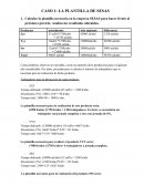 CASO 1: LA PLANTILLA DE SESAS