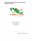 Acta constitutiva de una Sociedad Anónima de Capital Fijo