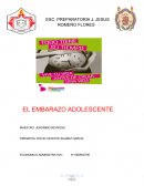 EL EMBARAZO ADOLESCENTE