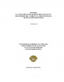 PELIGRO LA CONTAMINACION DE DESECHOS VIAJA EN EL TRANSPORTE DEL CUERPO Y LA MENTE HUMANA TRASPASANDO FRONTERAS