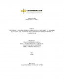 INFORME SOBRE EL PROCESO DE EVALUACIÓN, EL ANÁLISIS FUNCIONAL Y EL DISEÑO DE TRATAMIENTO SIGUIENDO EL MODELO CONDUCTUAL